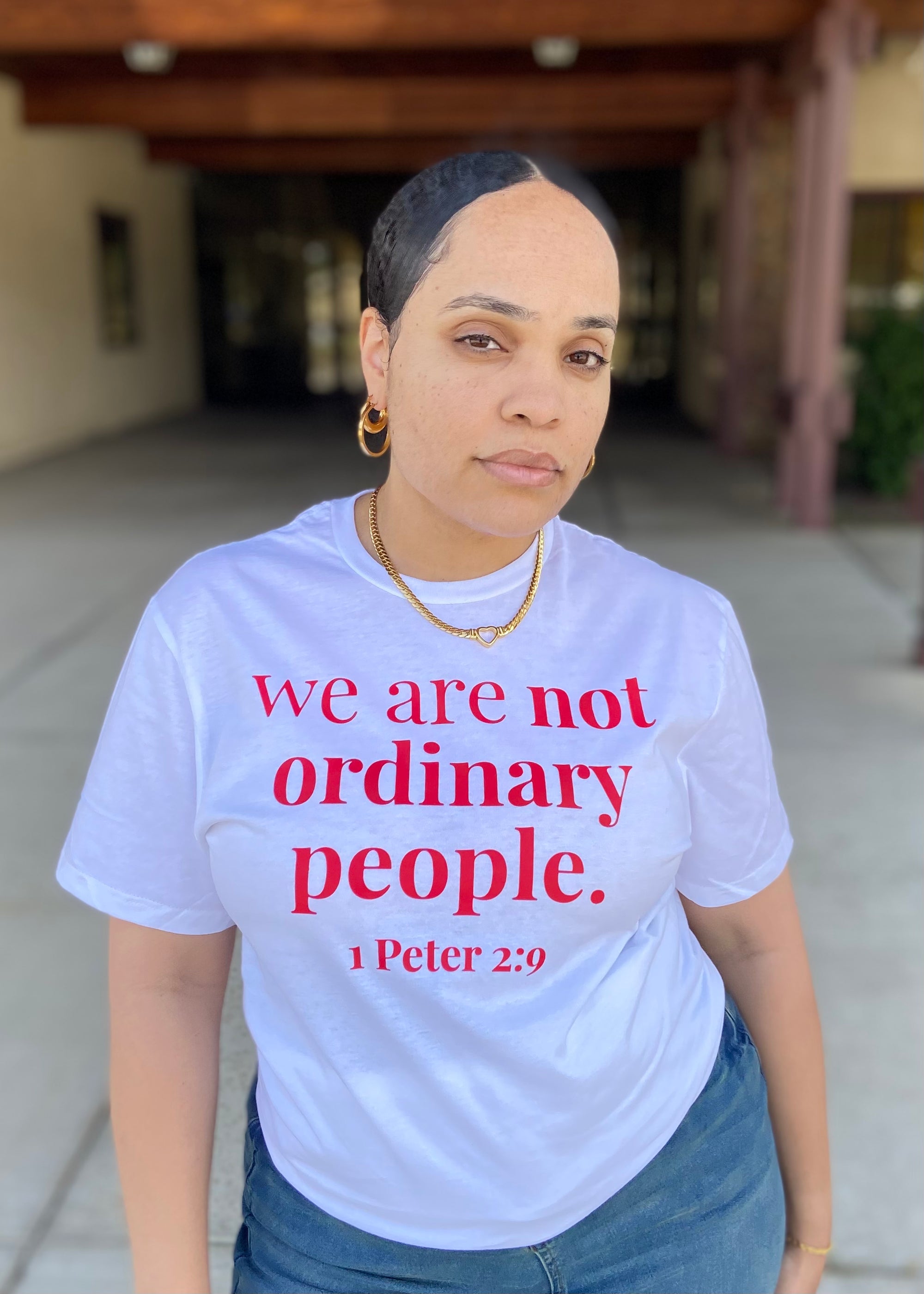 Ordinary People Adult T-Shirt